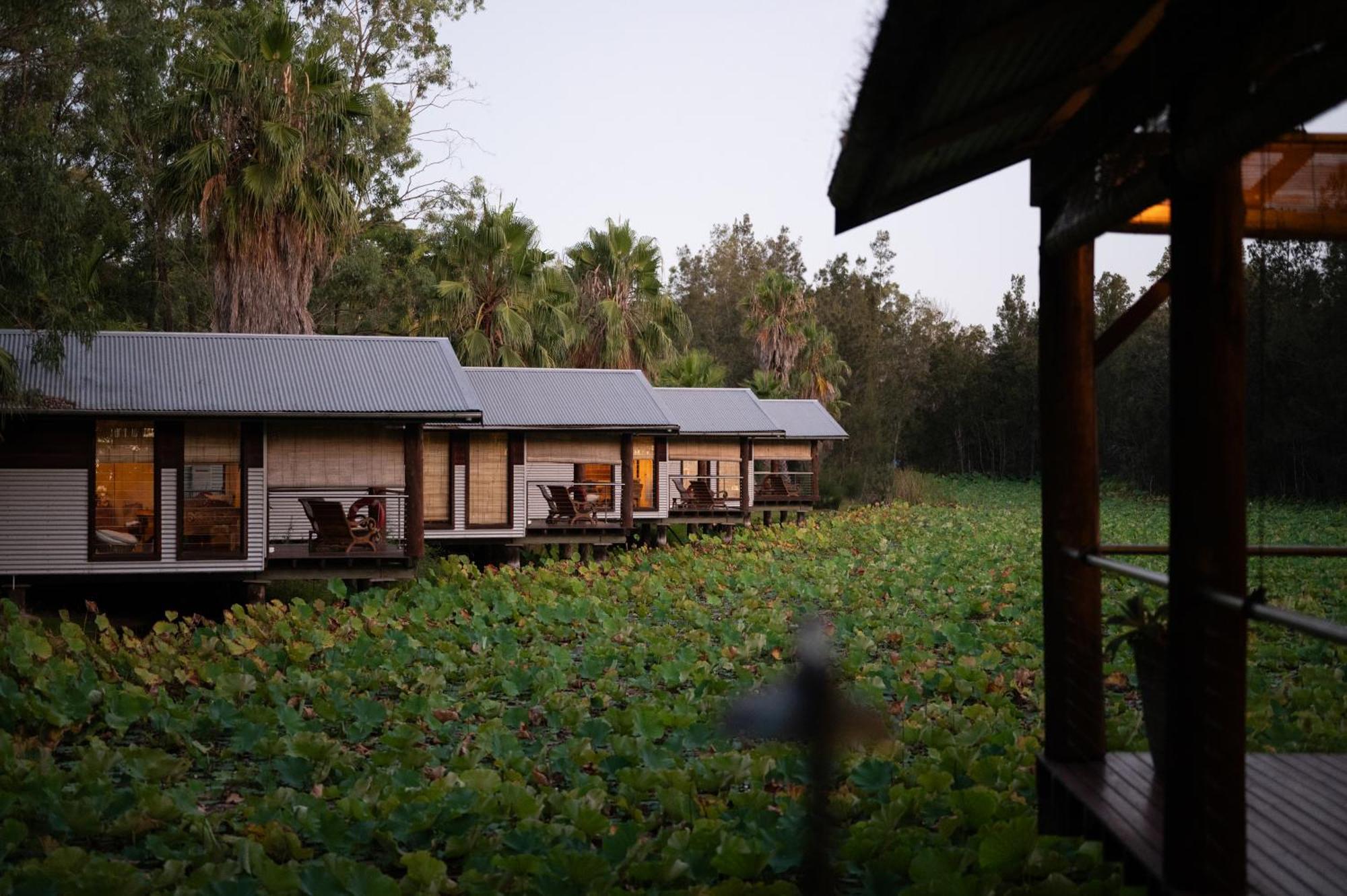 The Boathouses At Leaves & Fishes Lovedale Ngoại thất bức ảnh