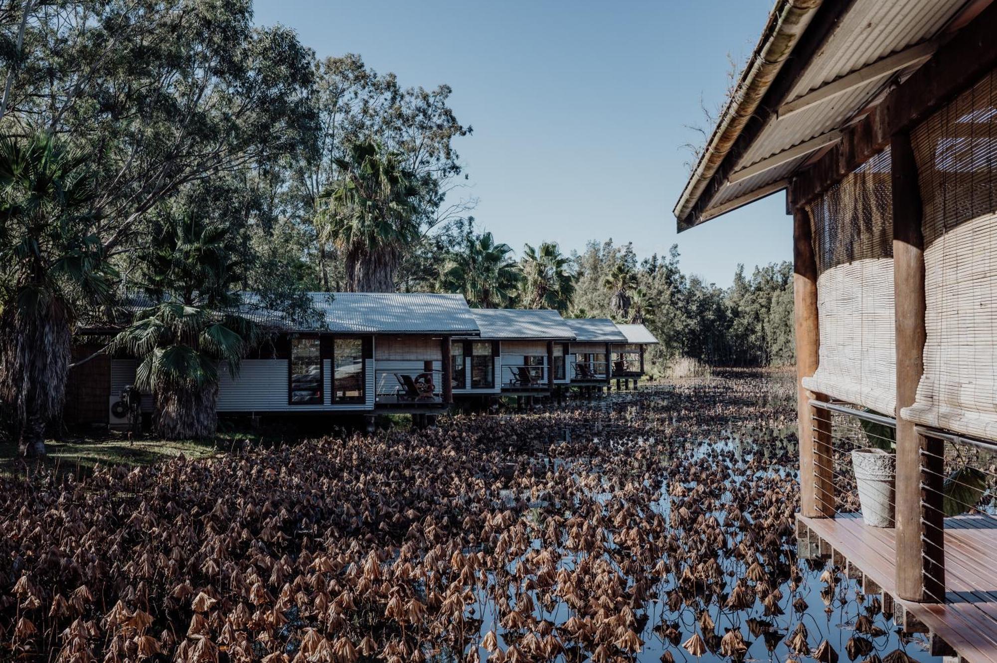 The Boathouses At Leaves & Fishes Lovedale Ngoại thất bức ảnh